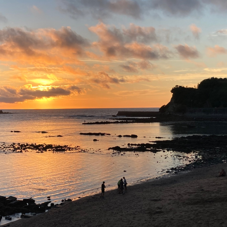 Salted Rejoignez Le R seau Des C tiers salted-rejoignez-le-r-seau-des-c-tiers