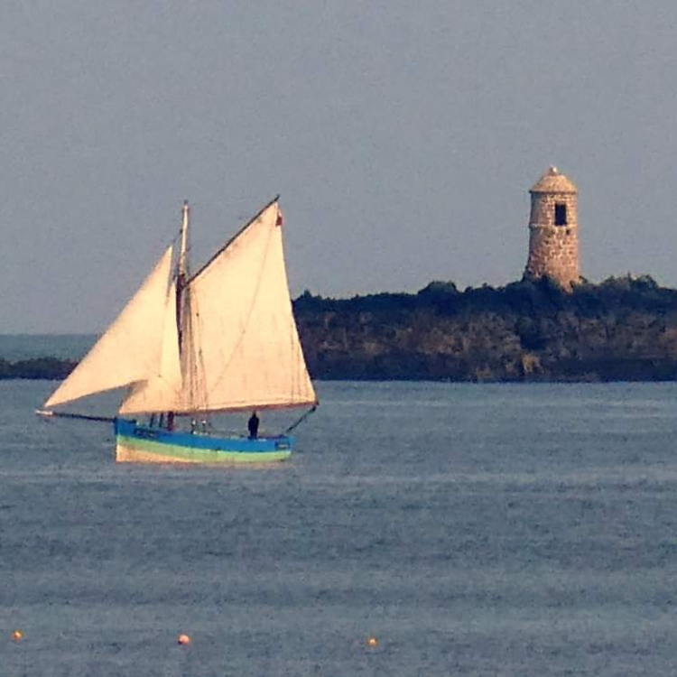 Salted Rejoignez Le R seau Des C tiers salted-rejoignez-le-r-seau-des-c-tiers