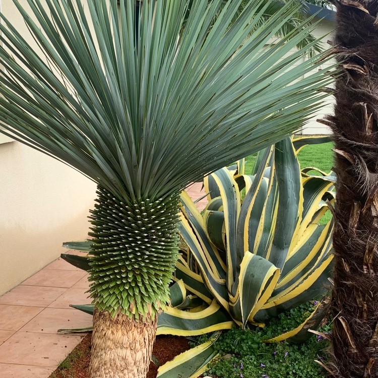 Salted Rejoignez Le R seau Des C tiers salted-rejoignez-le-r-seau-des-c-tiers