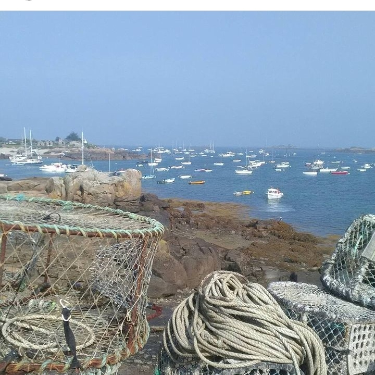 Salted Rejoignez Le R seau Des C tiers salted-rejoignez-le-r-seau-des-c-tiers